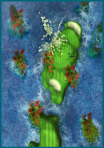 Overhead layout of hole 11